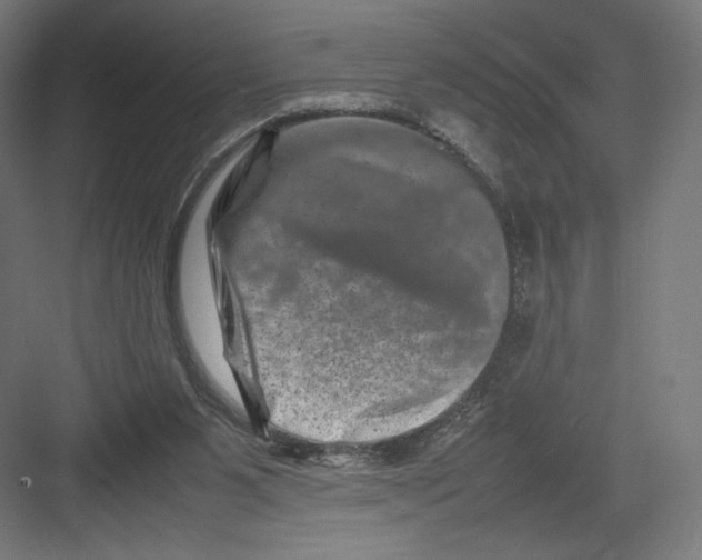 X0000082170111200702092254