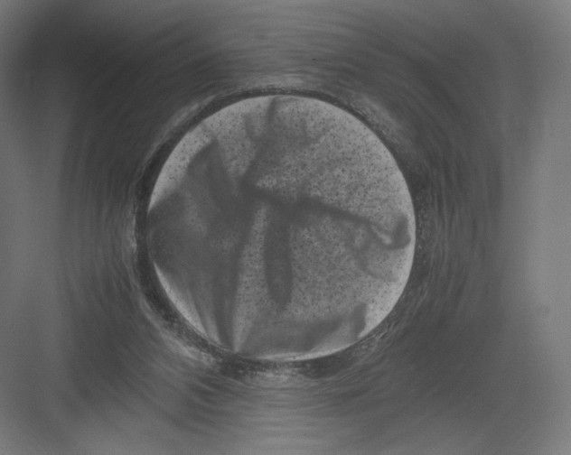 X0000082170112200702092253