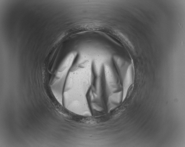 X0000082170113200702092253