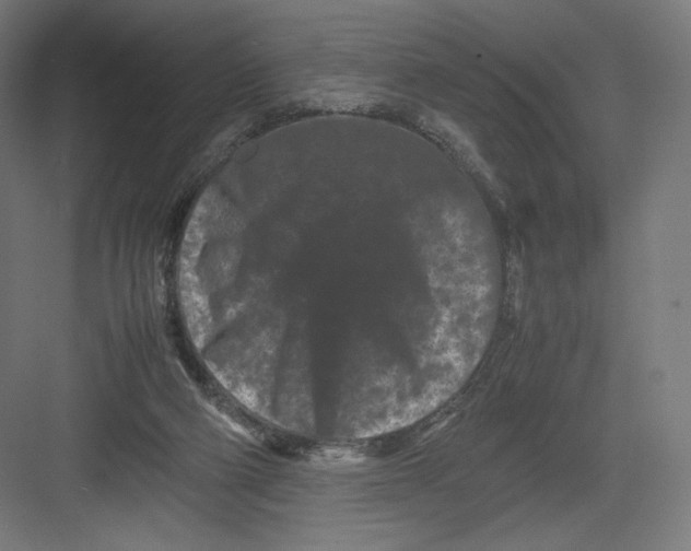 X0000082170114200702092253