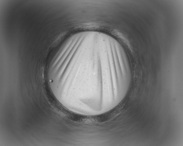 X0000082170115200702092253