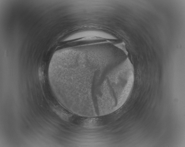 X0000082170116200702092253