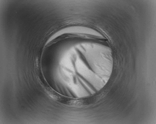 X0000082170117200702092253