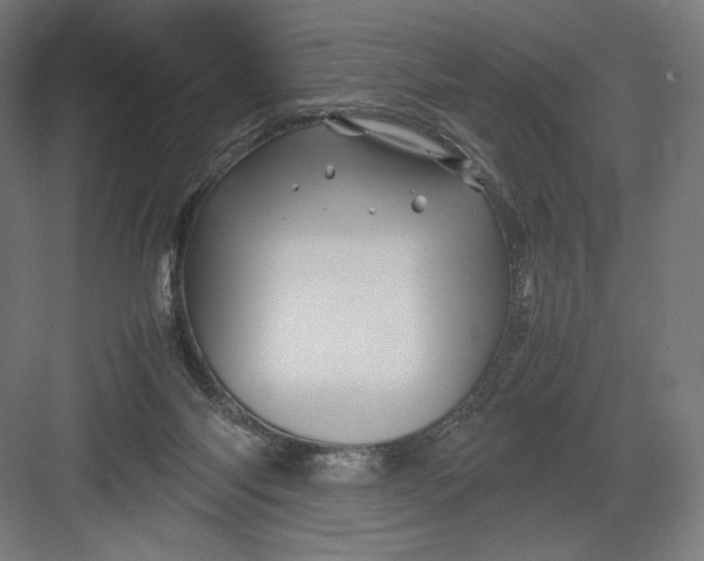 X0000082170118200702092253