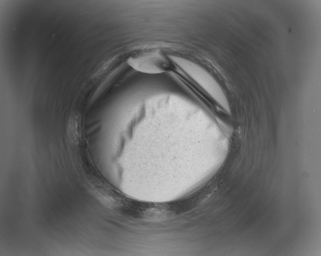 X0000082170119200702092253