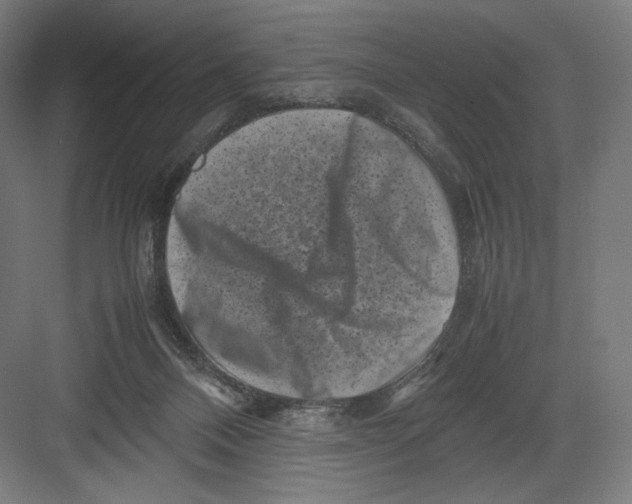 X0000082170120200702092253