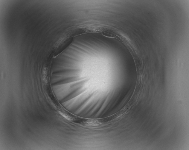 X0000082170121200702092253