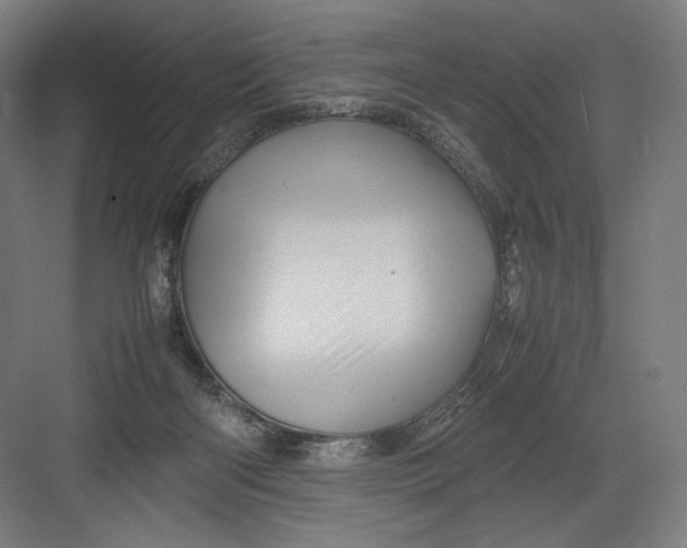 X0000082170122200702092253