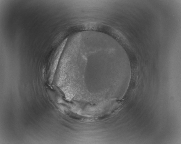 X0000082170123200702092253