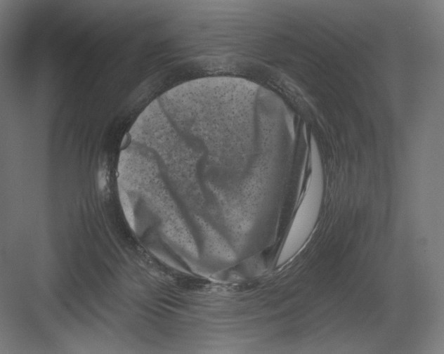 X0000082170124200702092253