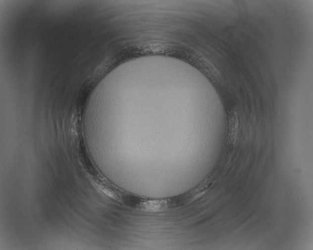 X0000082170126200702092253