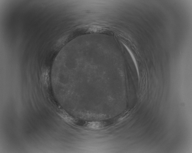 X0000082170127200702092253