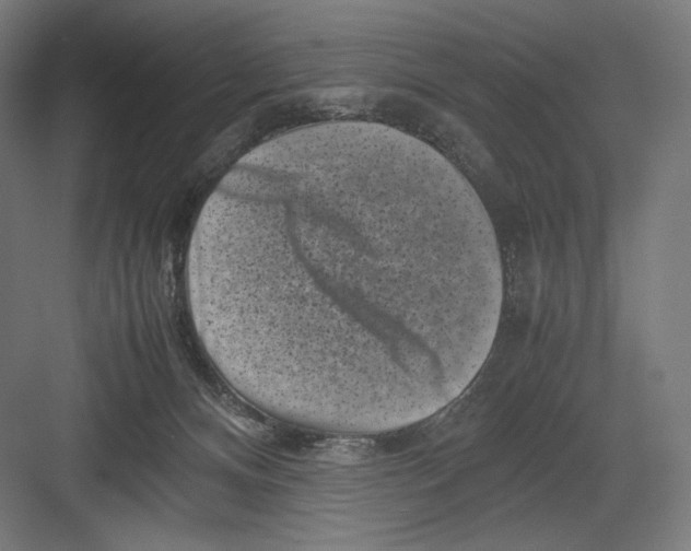 X0000082170128200702092253