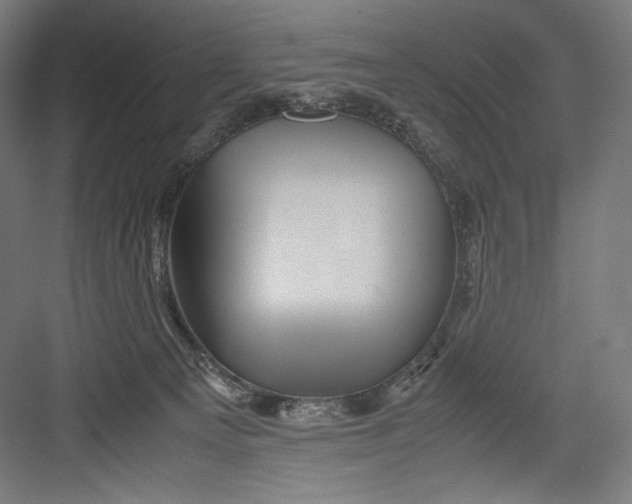 X0000082170129200702092253