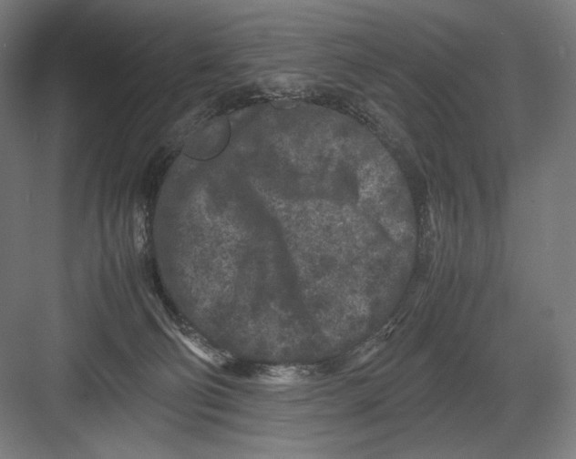 X0000082170130200702092253