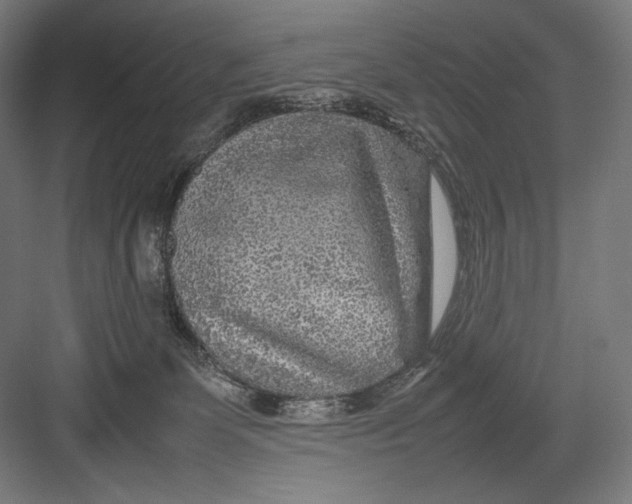 X0000082170131200702092253