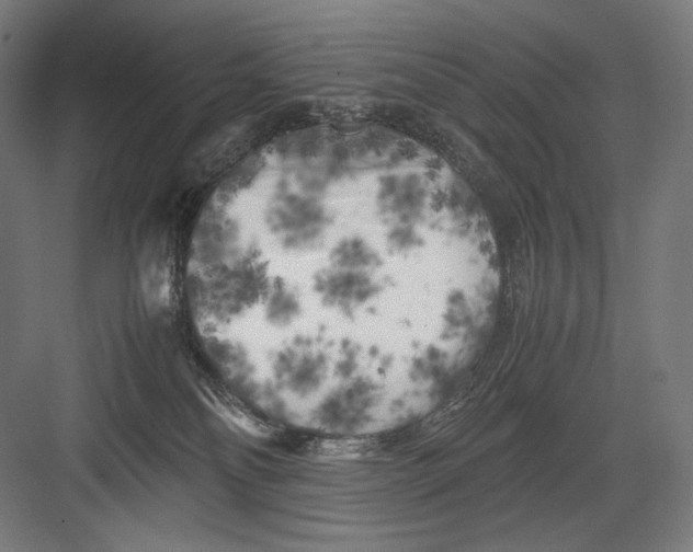 X0000082170134200702092253