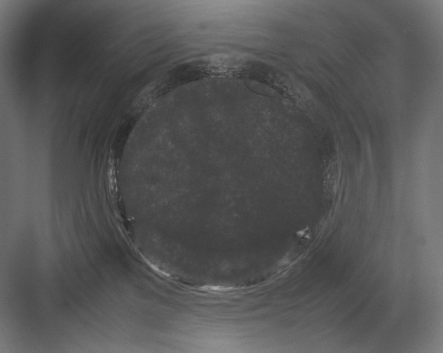 X0000082170137200702092253