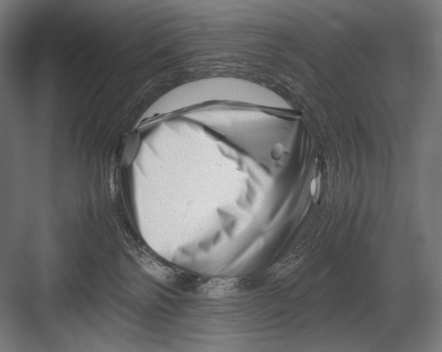 X0000082170138200702092253