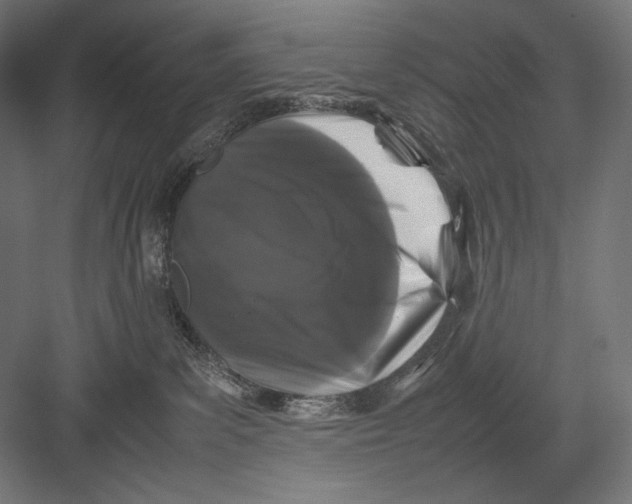 X0000082170139200702092253