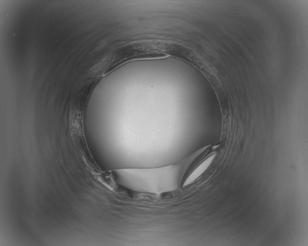 X0000082170141200702092253