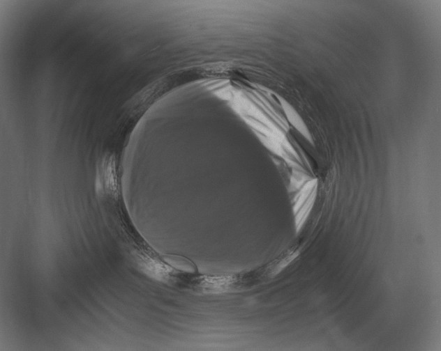 X0000082170143200702092253