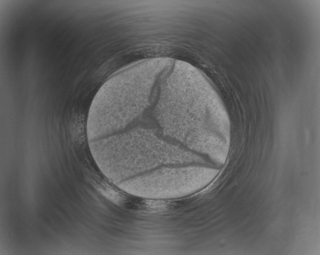 X0000082170144200702092253