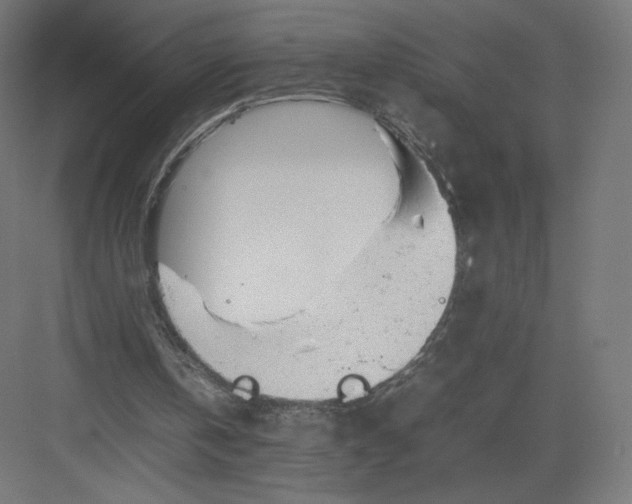 X0000082170146200702092252