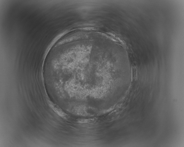 X0000082170147200702092252