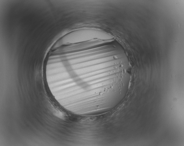 X0000082170148200702092252