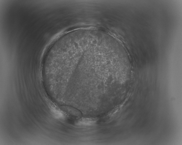 X0000082170149200702092252