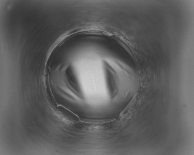 X0000082170152200702092252