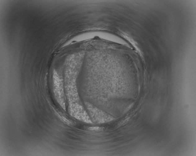 X0000082170153200702092252