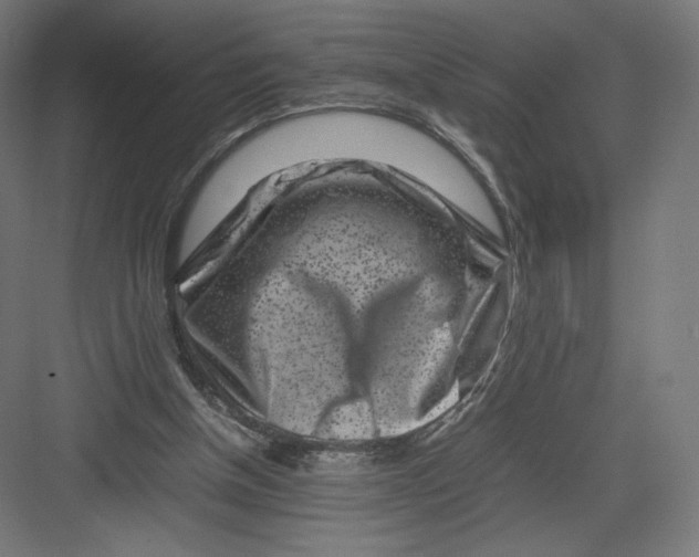 X0000082170154200702092252