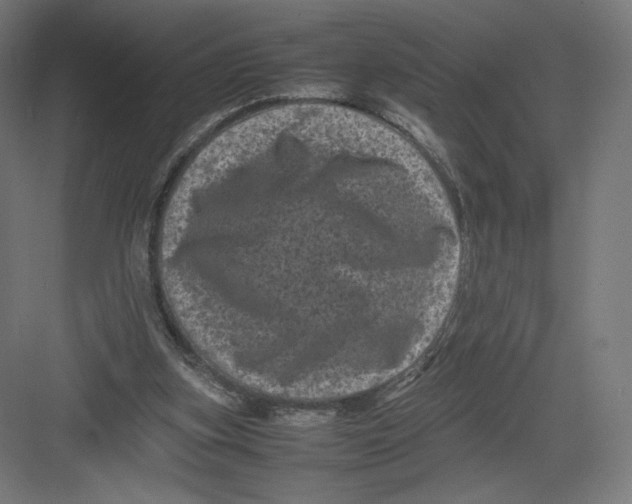 X0000082170155200702092252