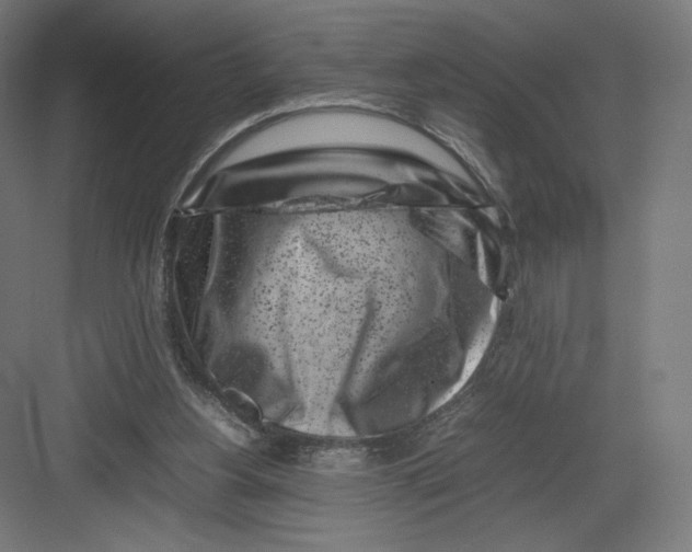 X0000082170156200702092252