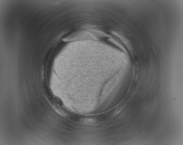 X0000082170157200702092252