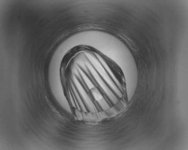 X0000082170158200702092252