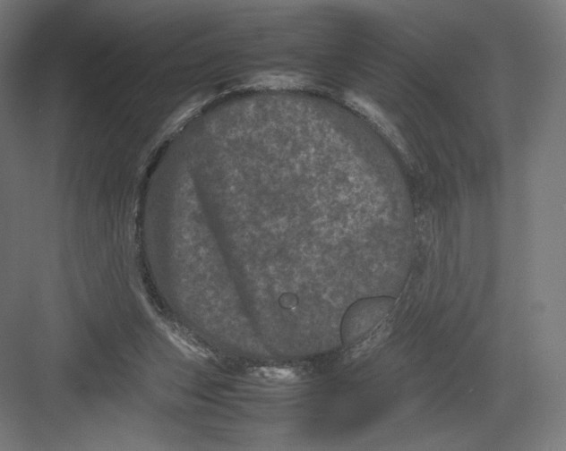 X0000082170159200702092252