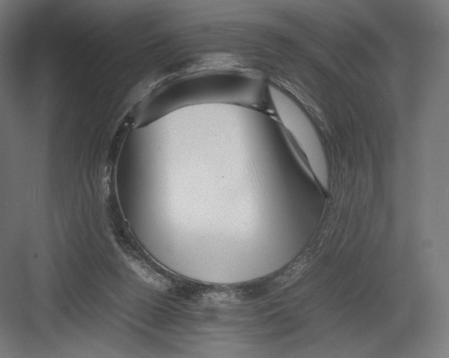 X0000082170160200702092252