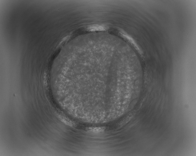 X0000082170161200702092252