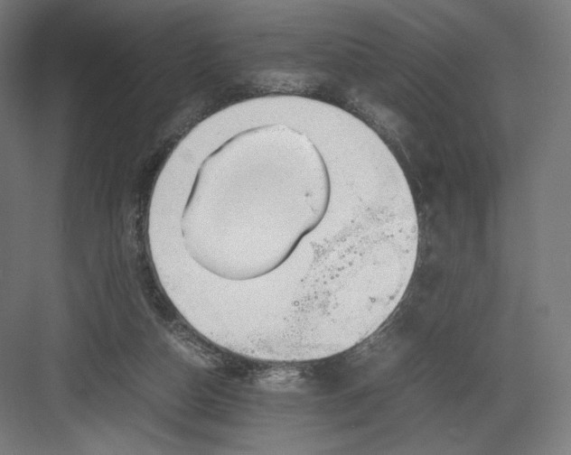 X0000082170162200702092252