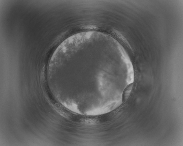 X0000082170163200702092252