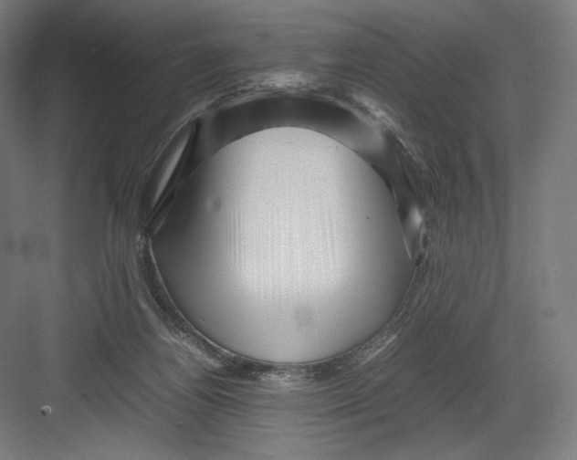 X0000082170164200702092252