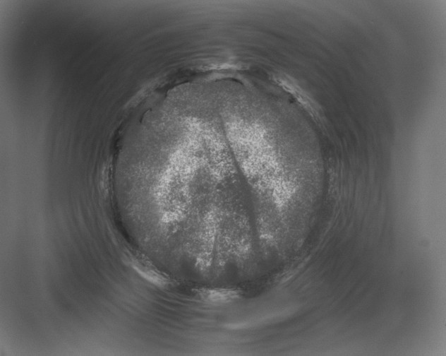 X0000082170165200702092252