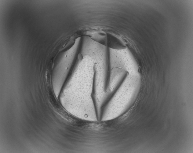 X0000082170166200702092252