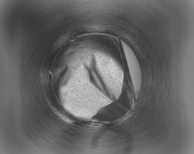 X0000082170168200702092253