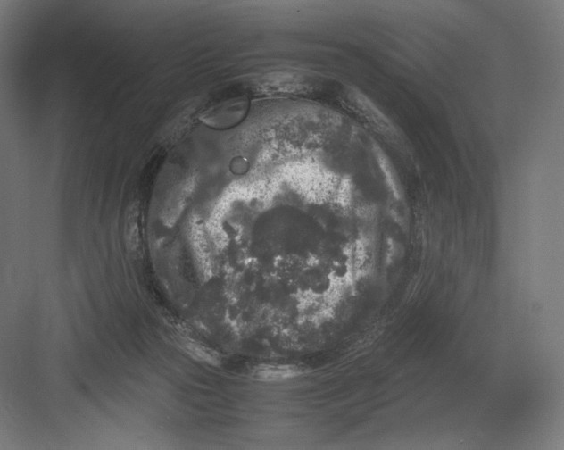 X0000082170169200702092253