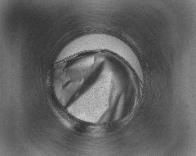 X0000082170170200702092253