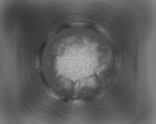 X0000082170173200702092253